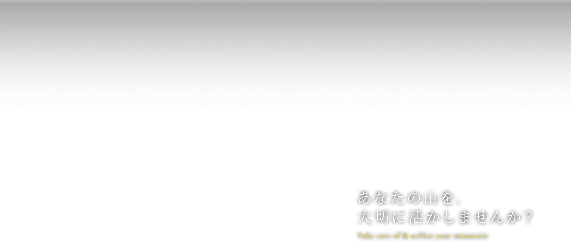 あなたの山を、大切に活かしませんか?